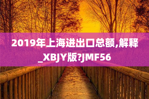 2019年上海进出口总额,解释_XBJY版?JMF56