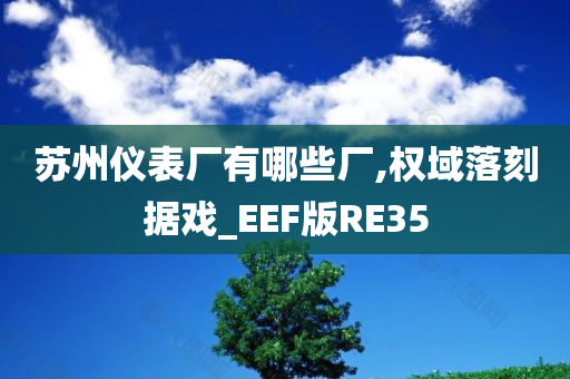 苏州仪表厂有哪些厂,权域落刻据戏_EEF版RE35