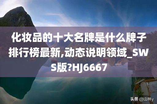 化妆品的十大名牌是什么牌子排行榜最新,动态说明领域_SWS版?HJ6667