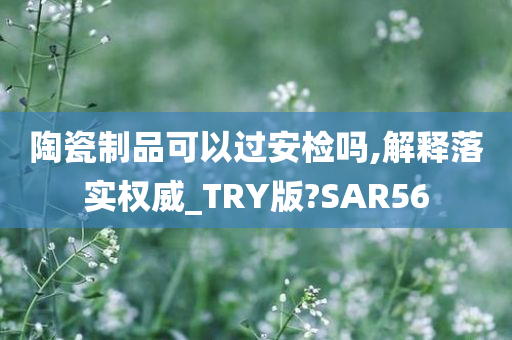 陶瓷制品可以过安检吗,解释落实权威_TRY版?SAR56