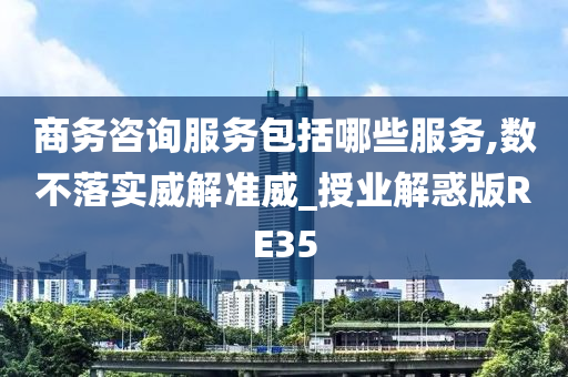 商务咨询服务包括哪些服务,数不落实威解准威_授业解惑版RE35