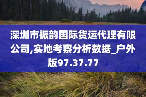 深圳市振韵国际货运代理有限公司,实地考察分析数据_户外版97.37.77