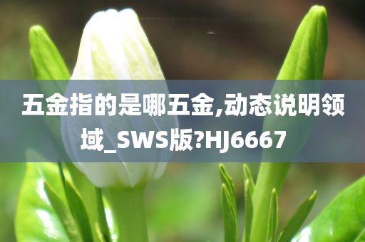 五金指的是哪五金,动态说明领域_SWS版?HJ6667