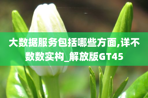 大数据服务包括哪些方面,详不数数实构_解放版GT45