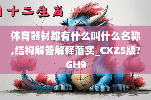 体育器材都有什么叫什么名称,结构解答解释落实_CXZS版?GH9