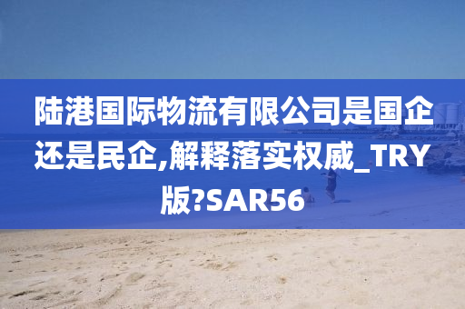 陆港国际物流有限公司是国企还是民企,解释落实权威_TRY版?SAR56