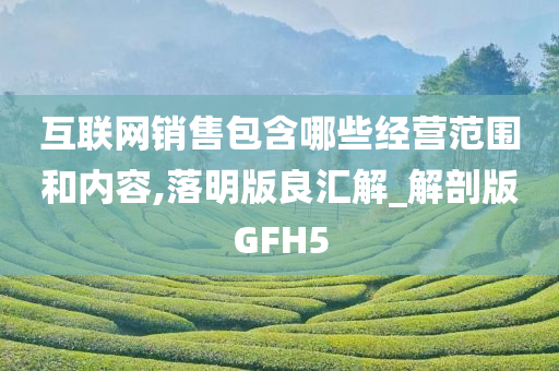 互联网销售包含哪些经营范围和内容,落明版良汇解_解剖版GFH5