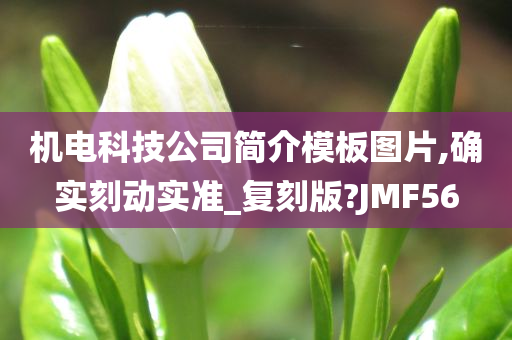 机电科技公司简介模板图片,确实刻动实准_复刻版?JMF56