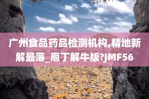 广州食品药品检测机构,精地新解最落_庖丁解牛版?JMF56