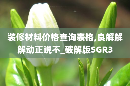 装修材料价格查询表格,良解解解动正说不_破解版SGR3