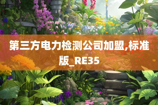 第三方电力检测公司加盟,标准版_RE35