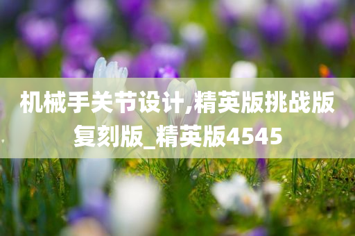 机械手关节设计,精英版挑战版复刻版_精英版4545