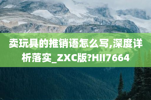 卖玩具的推销语怎么写,深度详析落实_ZXC版?HII7664