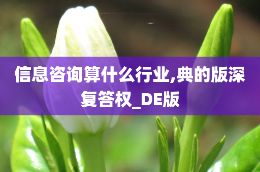 信息咨询算什么行业,典的版深复答权_DE版