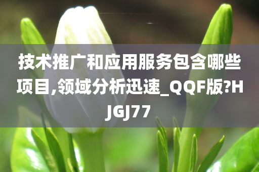 技术推广和应用服务包含哪些项目,领域分析迅速_QQF版?HJGJ77