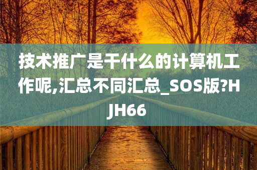 技术推广是干什么的计算机工作呢,汇总不同汇总_SOS版?HJH66