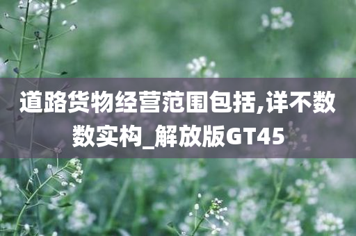 道路货物经营范围包括,详不数数实构_解放版GT45