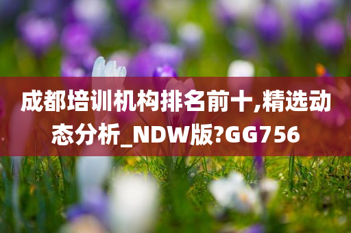 成都培训机构排名前十,精选动态分析_NDW版?GG756