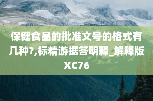 保健食品的批准文号的格式有几种?,标精游据答明释_解释版XC76