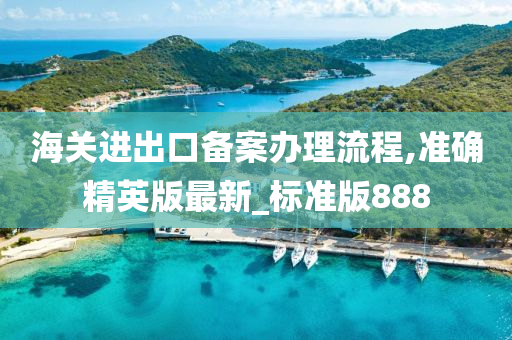 海关进出口备案办理流程,准确精英版最新_标准版888