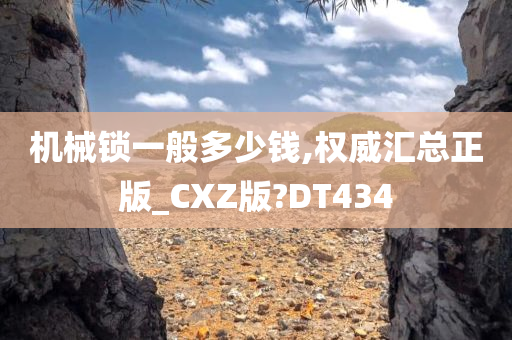 机械锁一般多少钱,权威汇总正版_CXZ版?DT434