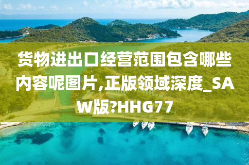 货物进出口经营范围包含哪些内容呢图片,正版领域深度_SAW版?HHG77