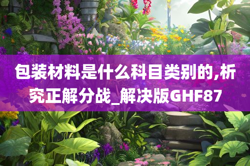 包装材料是什么科目类别的,析究正解分战_解决版GHF87