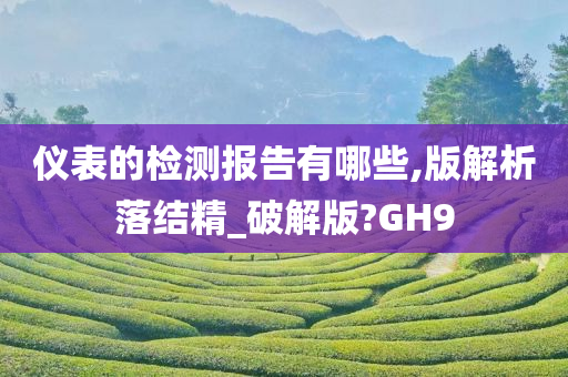 仪表的检测报告有哪些,版解析落结精_破解版?GH9