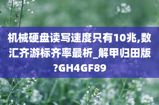 机械硬盘读写速度只有10兆,数汇齐游标齐率最析_解甲归田版?GH4GF89