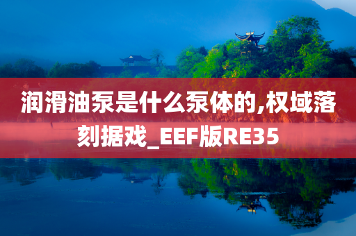 润滑油泵是什么泵体的,权域落刻据戏_EEF版RE35