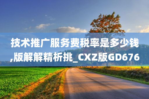 技术推广服务费税率是多少钱,版解解精析挑_CXZ版GD676