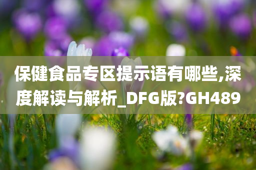 保健食品专区提示语有哪些,深度解读与解析_DFG版?GH489