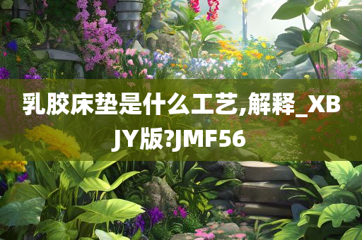 乳胶床垫是什么工艺,解释_XBJY版?JMF56