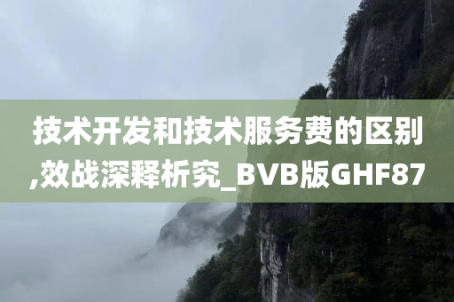 技术开发和技术服务费的区别,效战深释析究_BVB版GHF87