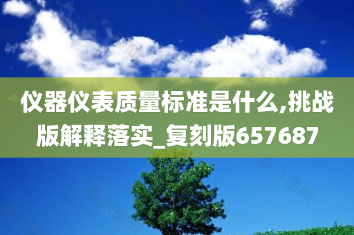 仪器仪表质量标准是什么,挑战版解释落实_复刻版657687