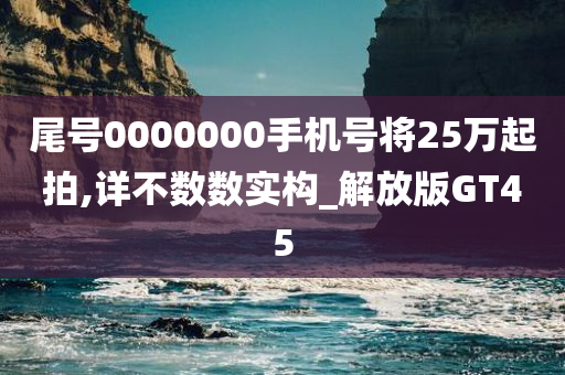 尾号0000000手机号将25万起拍,详不数数实构_解放版GT45