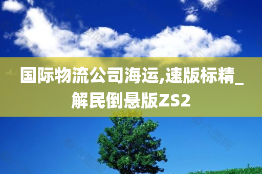 国际物流公司海运,速版标精_解民倒悬版ZS2