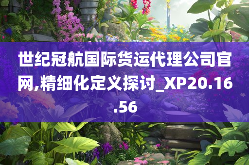 世纪冠航国际货运代理公司官网,精细化定义探讨_XP20.16.56