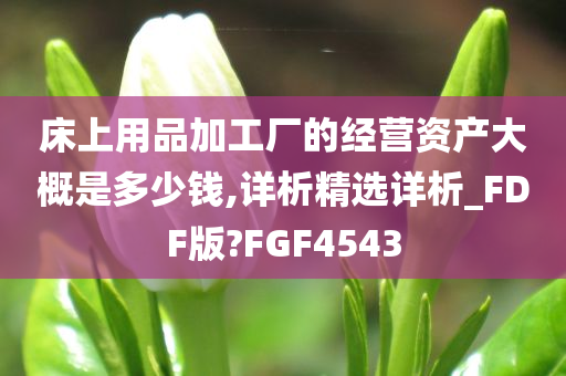 床上用品加工厂的经营资产大概是多少钱,详析精选详析_FDF版?FGF4543