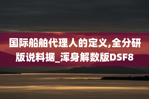 国际船舶代理人的定义,全分研版说料据_浑身解数版DSF8