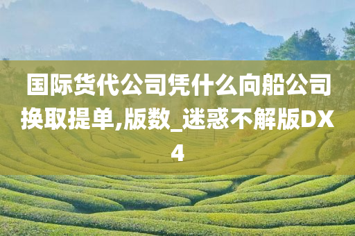 国际货代公司凭什么向船公司换取提单,版数_迷惑不解版DX4