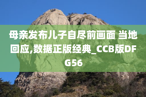 母亲发布儿子自尽前画面 当地回应,数据正版经典_CCB版DFG56