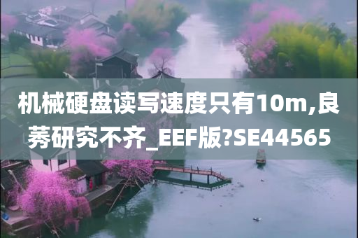 机械硬盘读写速度只有10m,良莠研究不齐_EEF版?SE44565