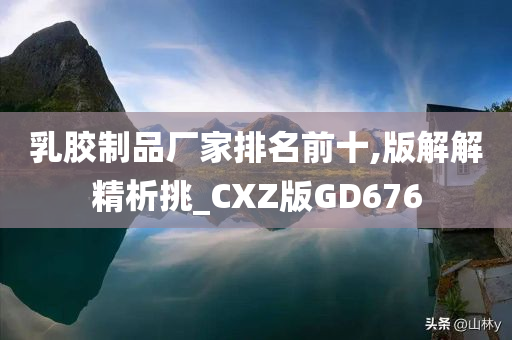 乳胶制品厂家排名前十,版解解精析挑_CXZ版GD676