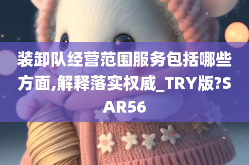 装卸队经营范围服务包括哪些方面,解释落实权威_TRY版?SAR56