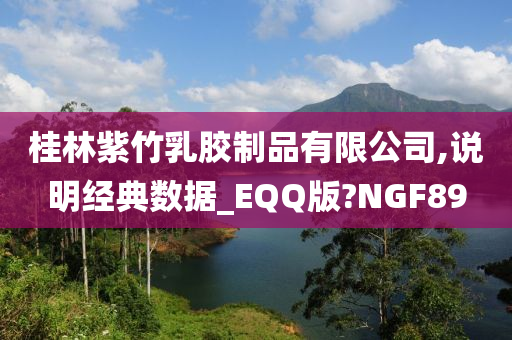 桂林紫竹乳胶制品有限公司,说明经典数据_EQQ版?NGF89