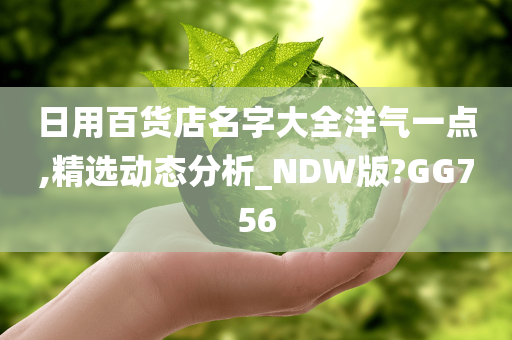 日用百货店名字大全洋气一点,精选动态分析_NDW版?GG756