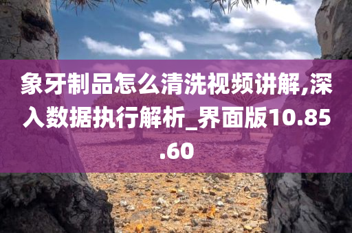 象牙制品怎么清洗视频讲解,深入数据执行解析_界面版10.85.60