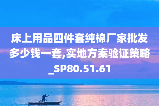 床上用品四件套纯棉厂家批发多少钱一套,实地方案验证策略_SP80.51.61