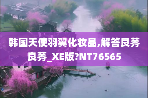 韩国天使羽翼化妆品,解答良莠良莠_XE版?NT76565